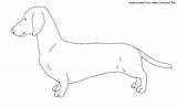 Dog Dachshund Animals Coloring sketch template