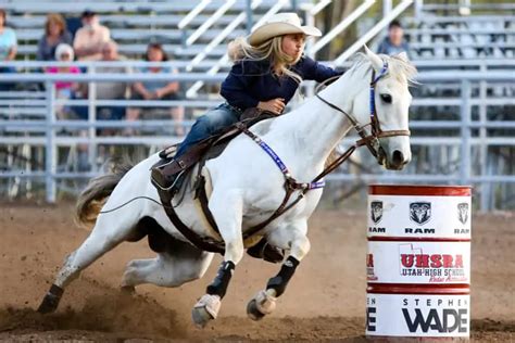popular western riding disciplines explained   horse factbook