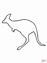Kangaroo Outline Drawing Leaping Koala Coloring Pages Clipartmag Getdrawings sketch template
