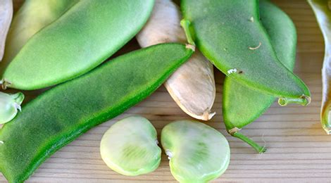 grow lima beans easily   home garden skh
