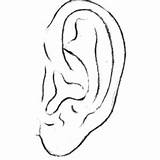 Ear sketch template