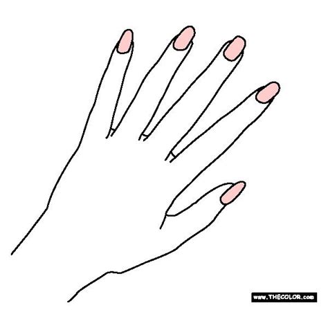 nail polish coloring page   polyvore featuring beauty products