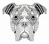 Boxer Zentangle sketch template