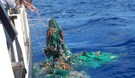 study finds  great pacific garbage patch   larger