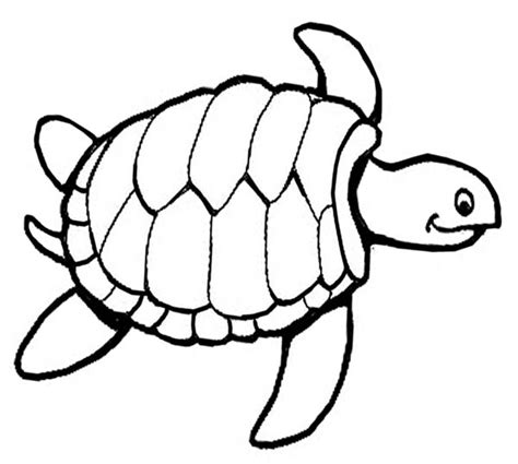easy sea turtle coloring page clip art library
