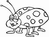 Beetle Stink sketch template
