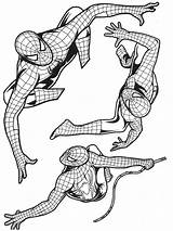 Spiderman Coloriage Postures Colorier Superheroes Plusieurs Spider Imprimé sketch template