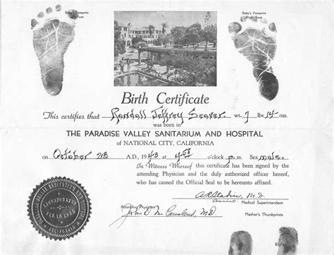 birth certificate template word excel formats