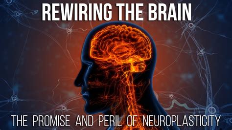 rewiring the brain the promise and peril of neuroplasticity youtube