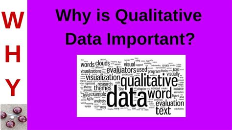 qualitative data youtube