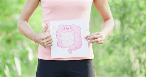 proven ways  improve  gut health pups jp