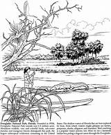 Coloring Everglades National Park Parks Doverpublications Florida Pages Dover Publications 1kb 790px Drawings Color sketch template