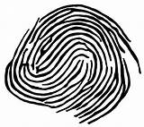 Fingerprint Drawing Getdrawings sketch template