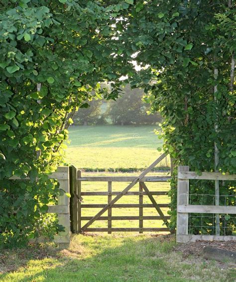 country gate stock photo image  idyllic scene agriculture