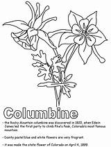 Coloring Colorado Pages Columbine Drawing Rocky Mountain Flower States State Ws Kidzone Drawings Flowers Embroidery Geography Usa Tree Colouring Patterns sketch template