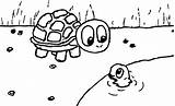 Coloring Turtle Tortoise Zany Wecoloringpage sketch template