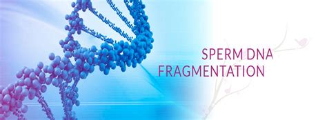 sperm dna fragmentation causes symptoms and treatments