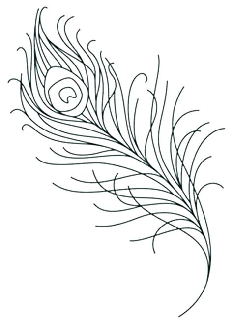 feather coloring pages  getcoloringscom  printable colorings