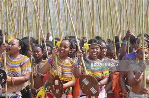 world s best reed dance stock pictures photos and images