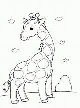 Jirafa Giraffe Pintarycoloreardibujos Giraffes sketch template