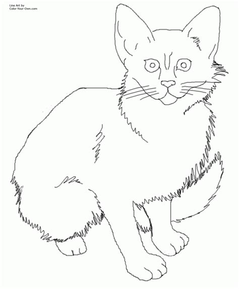 realistic cat coloring pages coloring home
