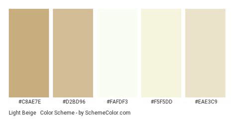 light beige and white color scheme beige