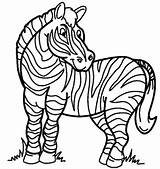 Zebra Coloring Pages Cartoon Drawing Zebras Book Color Clipart Printable Line Cliparts Animals Happy Kids Animal Coloringpagebook Use Clipartmag Print sketch template
