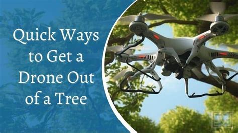 quick ways    drone    tree droneguru