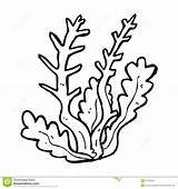 Seaweed Coloring Sea Pages Plants Clip Algae Grass Cartoon Coral Ocean Clipart Drawing Outline Print Printable Kids Color Drawings Life sketch template
