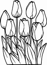 Coloring Pages Printable Flower Tulip Tulips Mandala Flowers Color Sheets Print K5worksheets Kids sketch template