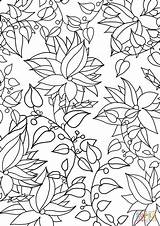 Coloring Pages Pattern Floral Printable Drawing sketch template