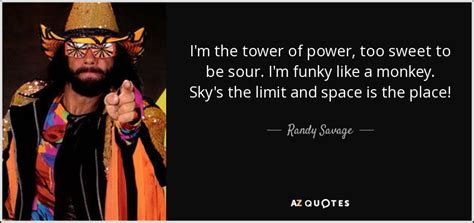 top 25 quotes by randy savage a z quotes