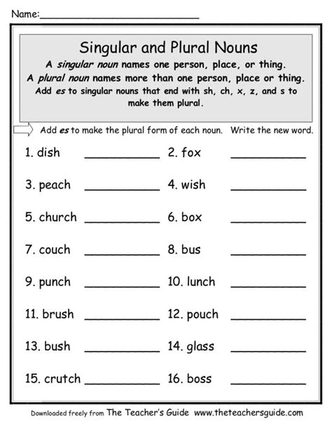 singular  plural nouns add es worksheet    grade lesson planet