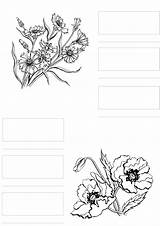Coloring Noir Spectrum Pages Copic Markers Copics Flowers sketch template