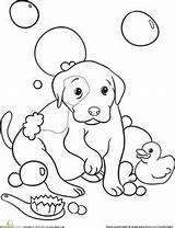 Doggy Bubbles Sheets sketch template