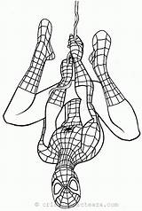 Spiderman Coloring Far Sheets Pages sketch template