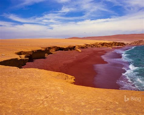 peru playa roja  paracas national reserve  bing
