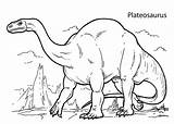 Dinosauri Dinosaur Plateosaurus Disegni Colorare Jurassic Dinosaurs Beau Extinct sketch template