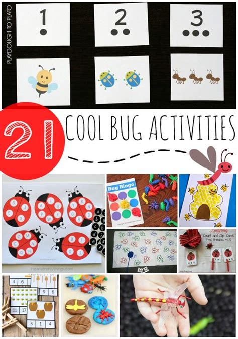 bug activities activities  kids  activities  pinterest