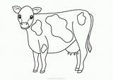 Cow Coloring Pages Printable Animal Kids Cows Holstein Beef Farm Drawing Cute Template Animals Angus Color Clipart Getdrawings Cattle Truck sketch template