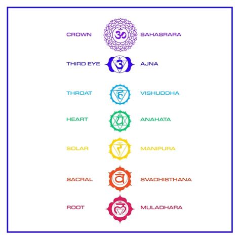 premium vector chakras