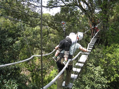 canopy walkway  taiwan features  motorized ascent canopymeg official website  dr