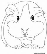 Pig Coloring Guinea Pages Kids Printable Choose Board Baby sketch template