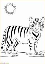 Tigre Colorear Tiger Harimau Mewarnai Colorare Gambar Disegni Bambini Tigres Tygrys Tigri Marimewarnai Druku Coloring Ausdrucken Kolorowanki Paud Belajar Malvorlagen sketch template