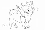Chihuahua Coloring Pencil Template Pages Deviantart Phalene Papillon Lines Drawing Xx sketch template