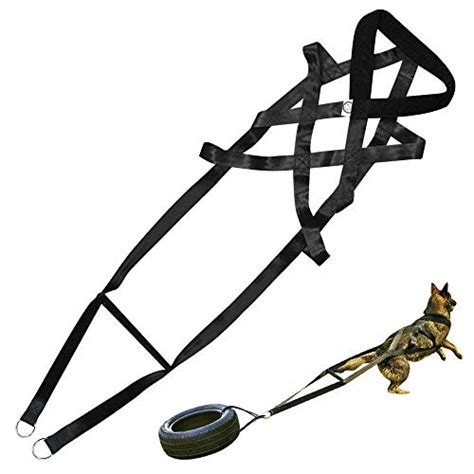 sled dog pulling harnesses  comprehensive guide