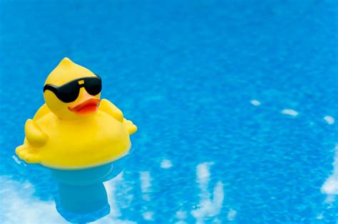 annual rubber ducky race benefitting hospice slides into