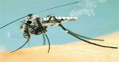futuristic tiny drones    world    insect  technology vista