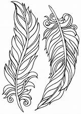 Feathers Coloring Pages Print sketch template