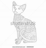 Devon Rex Coloring Designlooter Cat Stress Anti Without Adult Hair sketch template